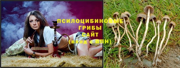 ПСИЛОЦИБИНОВЫЕ ГРИБЫ Бронницы