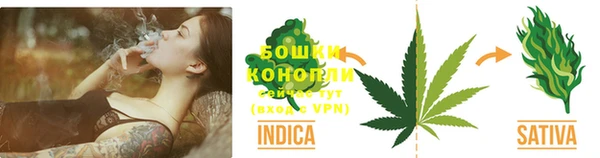 ПСИЛОЦИБИНОВЫЕ ГРИБЫ Бронницы