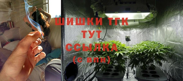дмт Бугульма