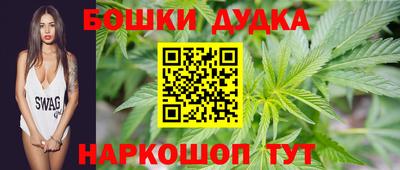шишки Камышлов