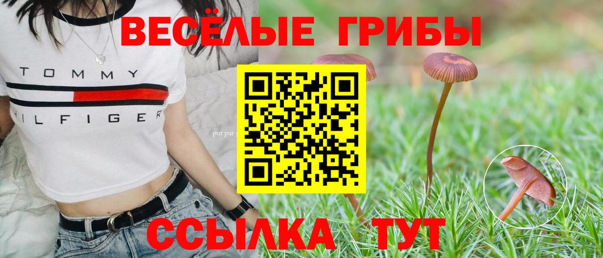 Галлюциногенные грибы Cubensis  Вход с VPN  Горячий Ключ 