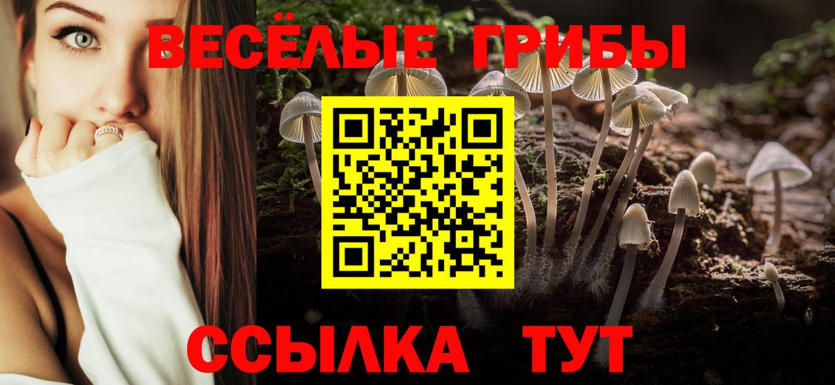Псилоцибиновые грибы MAGIC MUSHROOMS Горячий Ключ